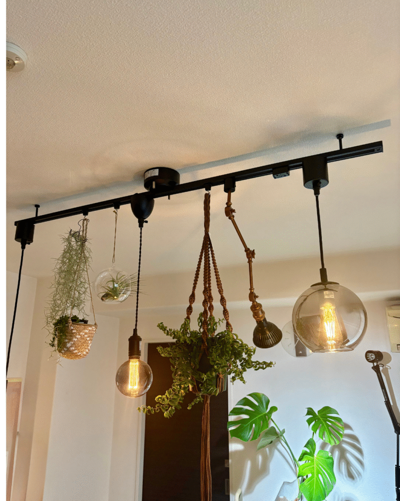 ダクトレールに照明と植物が掛かっている写真